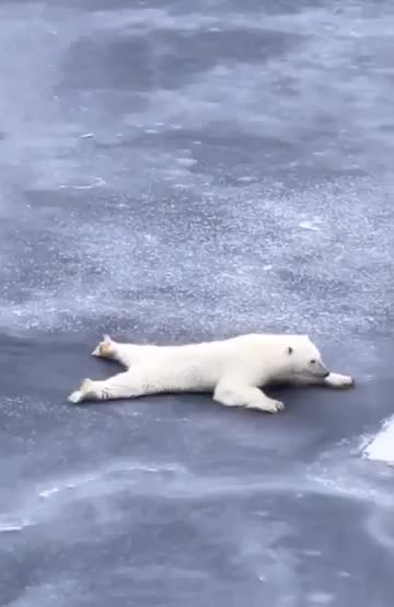 If you suddenly happen to be on the ice