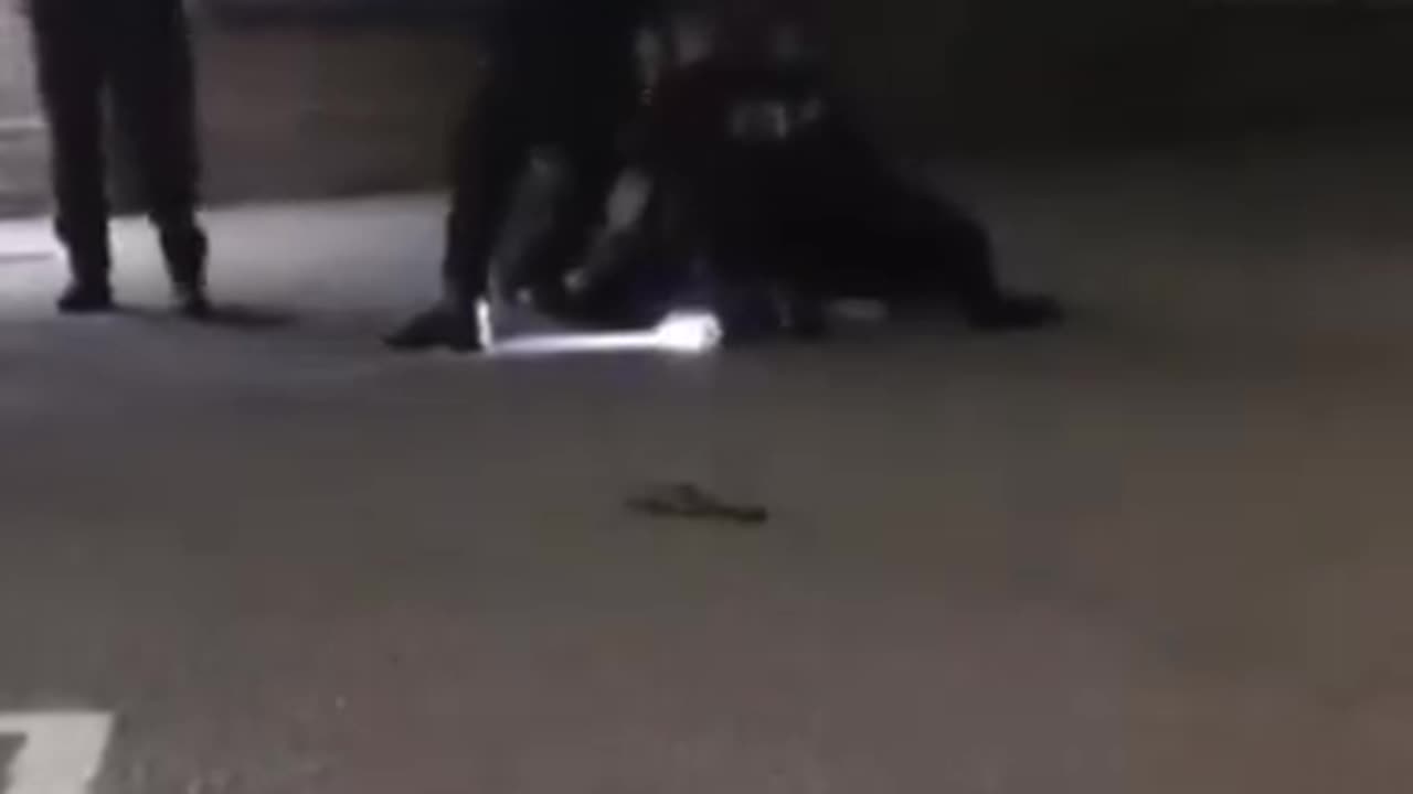 Uk Police are doing this to people for putting up our National Flag