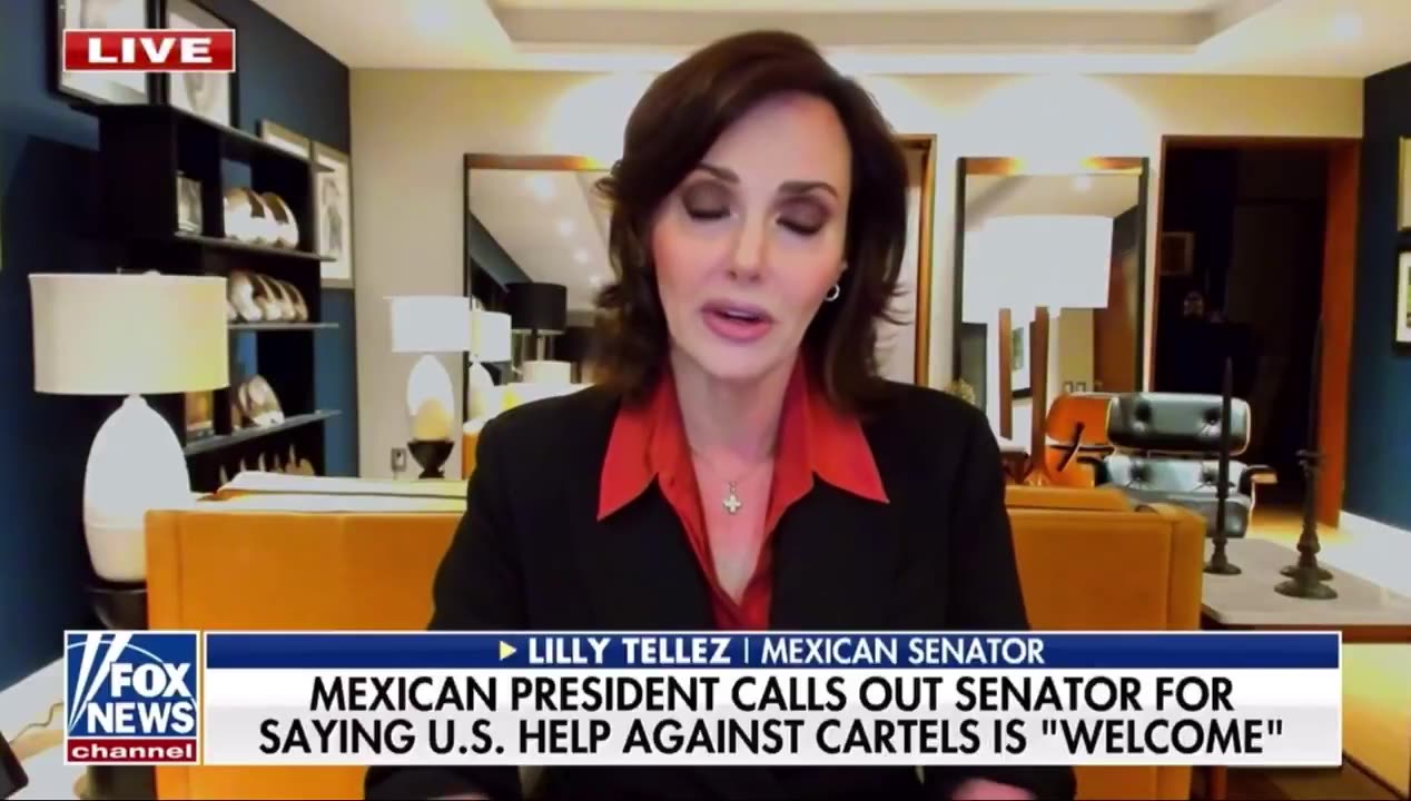 A Senator from Mexico went on Fox News and exposed it all