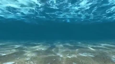 Underwater Sound - Relax Sounds for Sleep