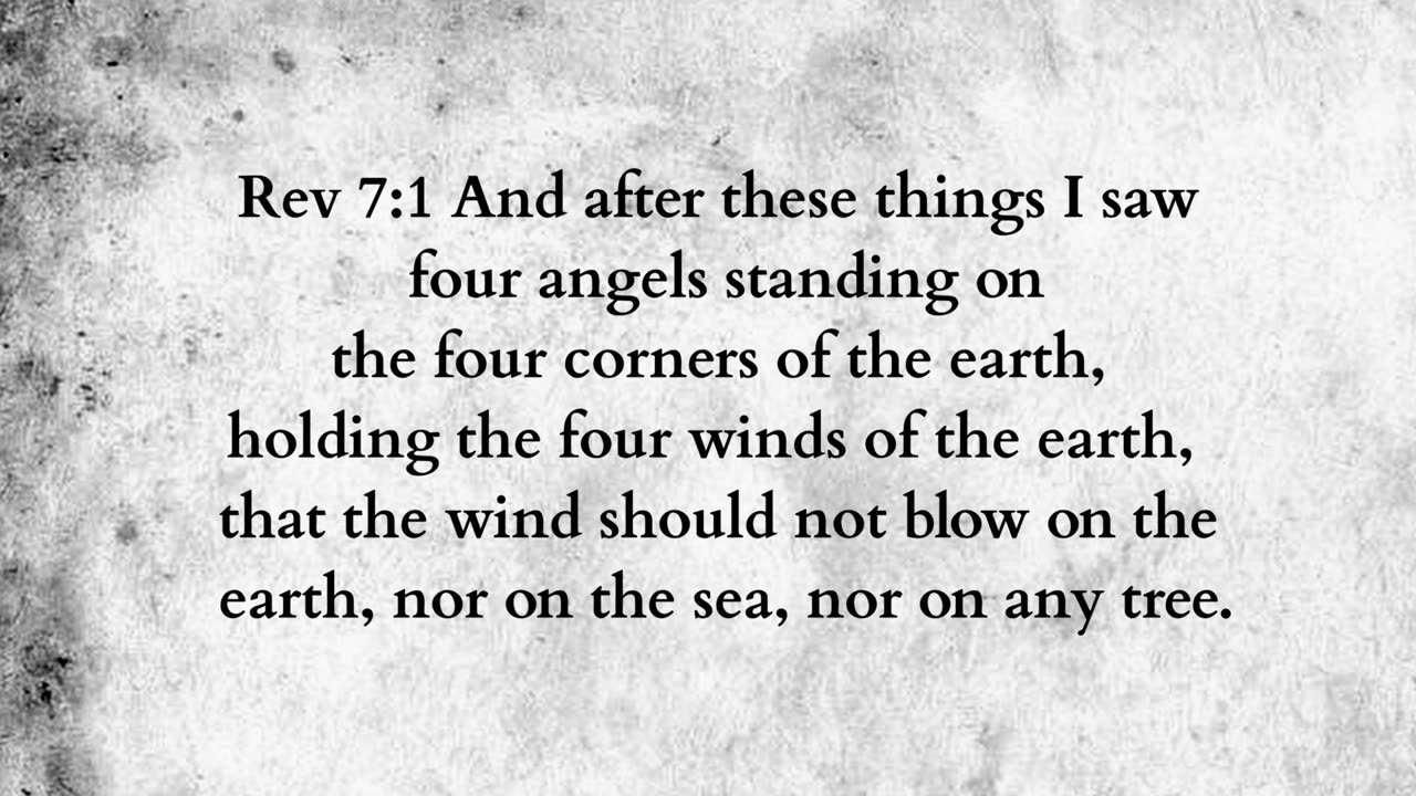 Martus Ministry -294- Ten trees