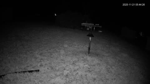 Bird Feeder in Western Maryland USA