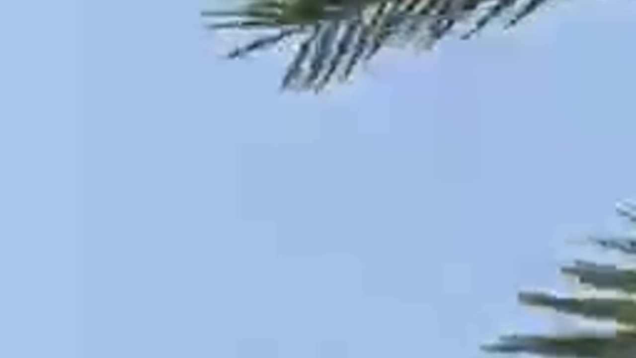 Drone interception in the Jordan Valley