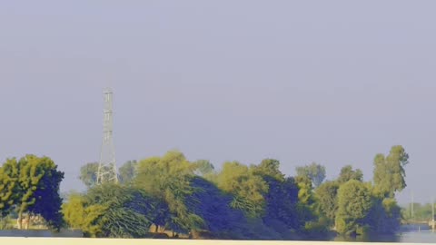 Rice Canal Bridge in Naudero, Sindh #maxrecords #larkana #sindh #pakistan