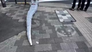 Brazilian influencer dresses up as a snake and crawls through the streets of Japan scaring residents