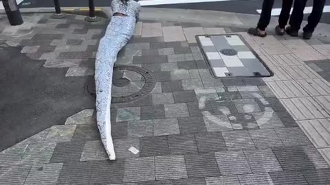 Brazilian influencer dresses up as a snake and crawls through the streets of Japan scaring residents
