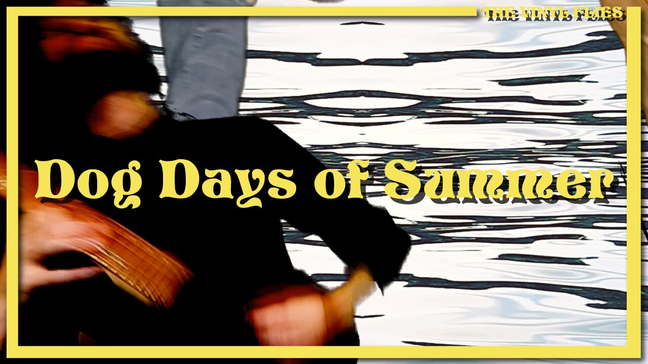 The Vinyl Flies - Dog Days of Summer (Demo)