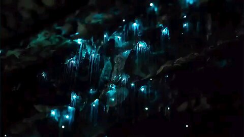 Beautiful , Look the stars...!