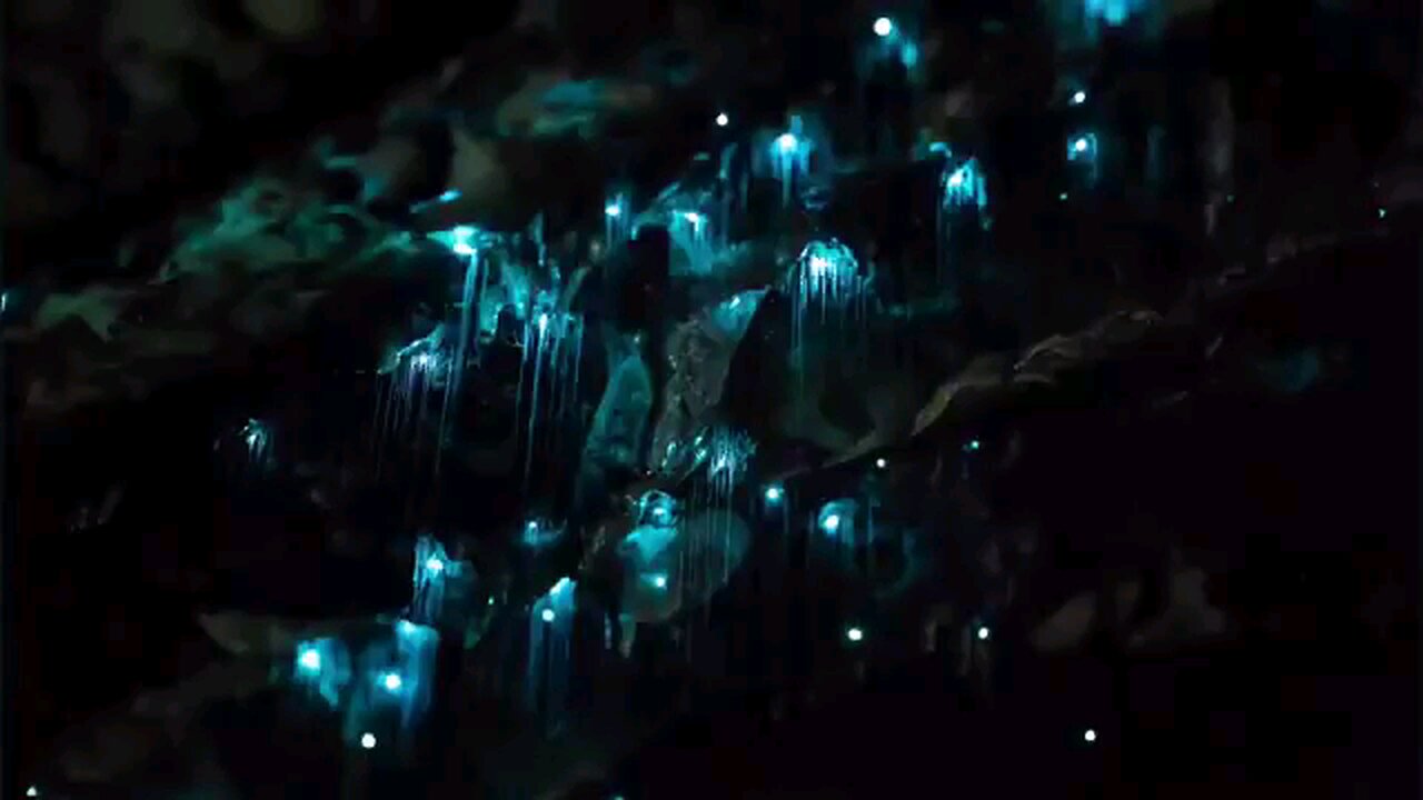 Beautiful , Look the stars...!