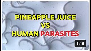 Pineapple Juice vs Common Parasites Known as Cancer (Under The Microscope)