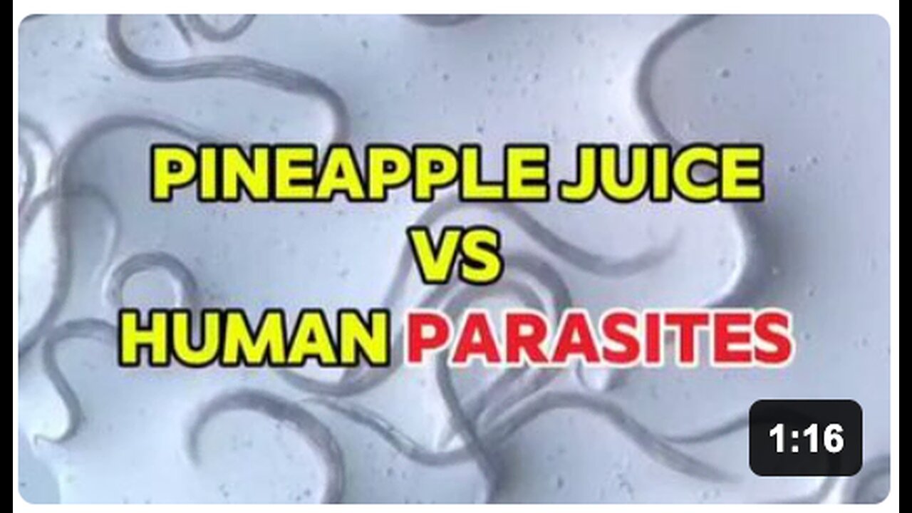 Pineapple Juice vs Common Parasites Known as Cancer (Under The Microscope)