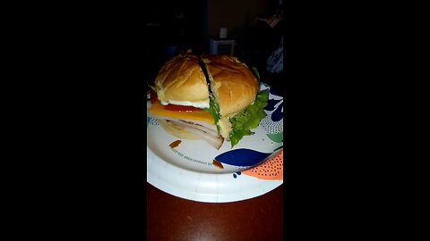 Eating Oscar Meyer Deli Fresh Honey Smoked Turkey Breast, Dbn, MI, 6/26/25