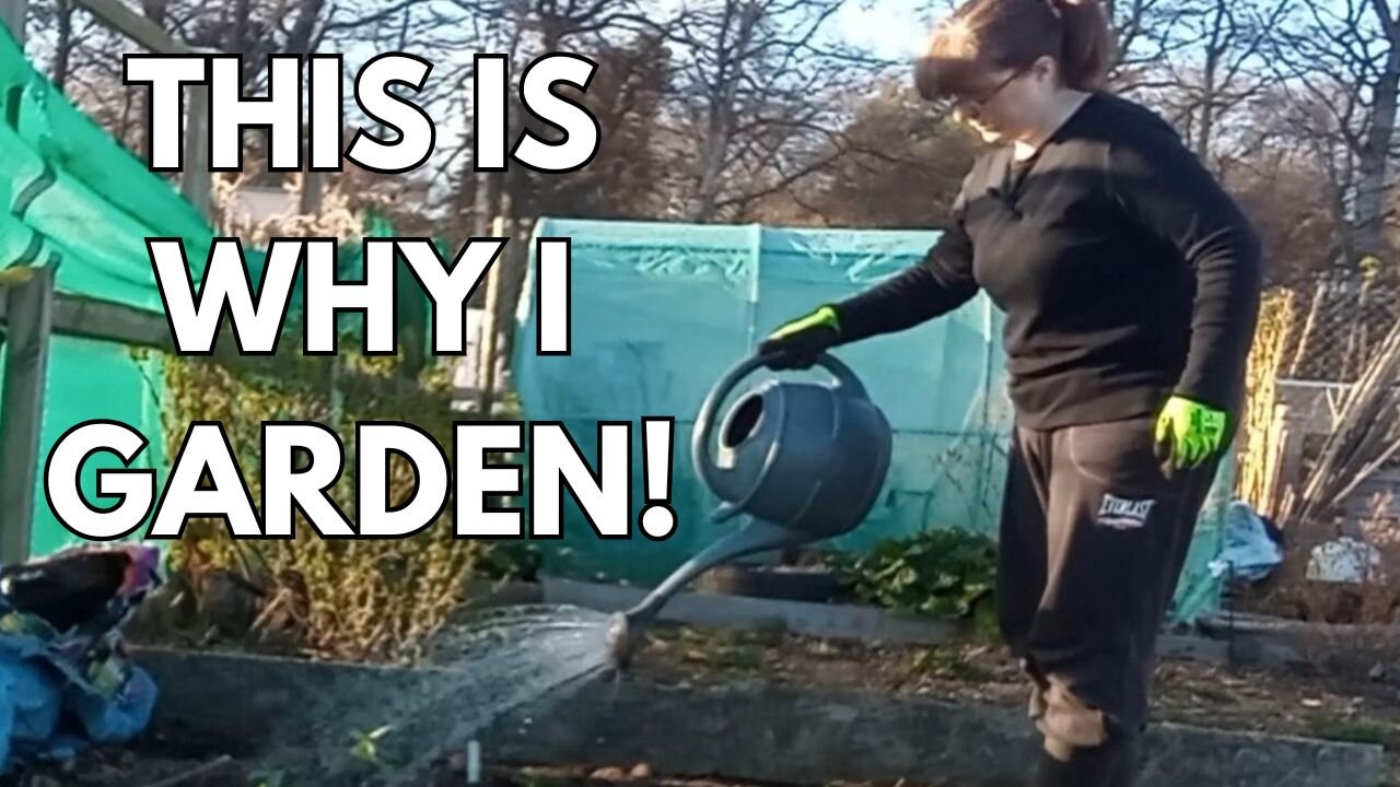 Veg, Vibes & Chicken Wire! | UK Allotment Gardening