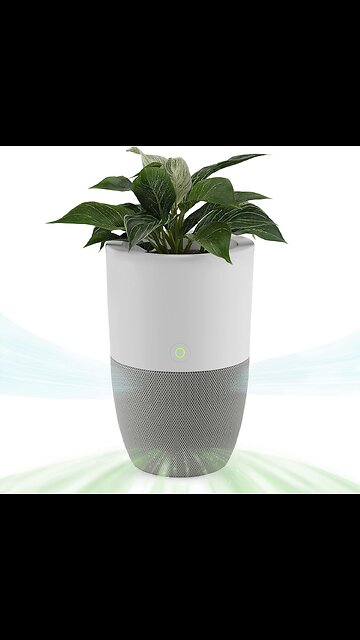 Dupray Bloom™ Air Purifier for Large Rooms with Planter