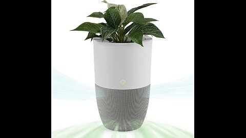 Dupray Bloom™ Air Purifier for Large Rooms with Planter