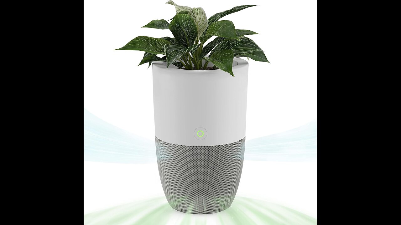 Dupray Bloom™ Air Purifier for Large Rooms with Planter