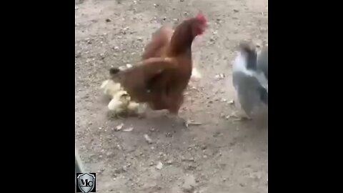 Like God like mother