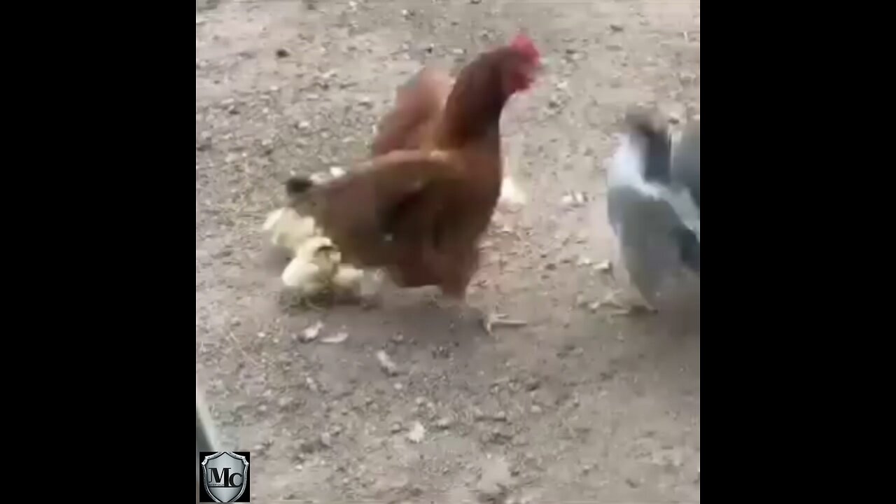 Like God like mother