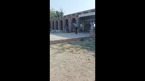 cricket best scene.