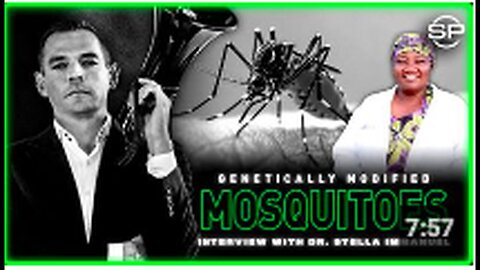 "MSM Labels Malaria Outbreak Linked to Bill Gates' Genetically Modified Mosquitoes a Coincidence"