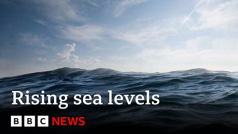 Sea levels rose more than expected in 2024 | BBC News