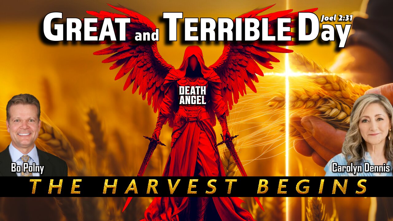 From THIS DAY Forward, I (GOD) will BLESS You!! Bo Polny