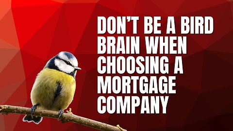 Don't Be a Bird Brain When Choosing a Mortgage Company
