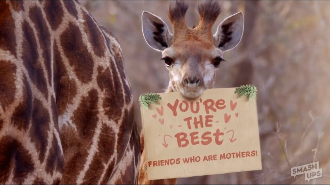 For my Friends who are Mothers