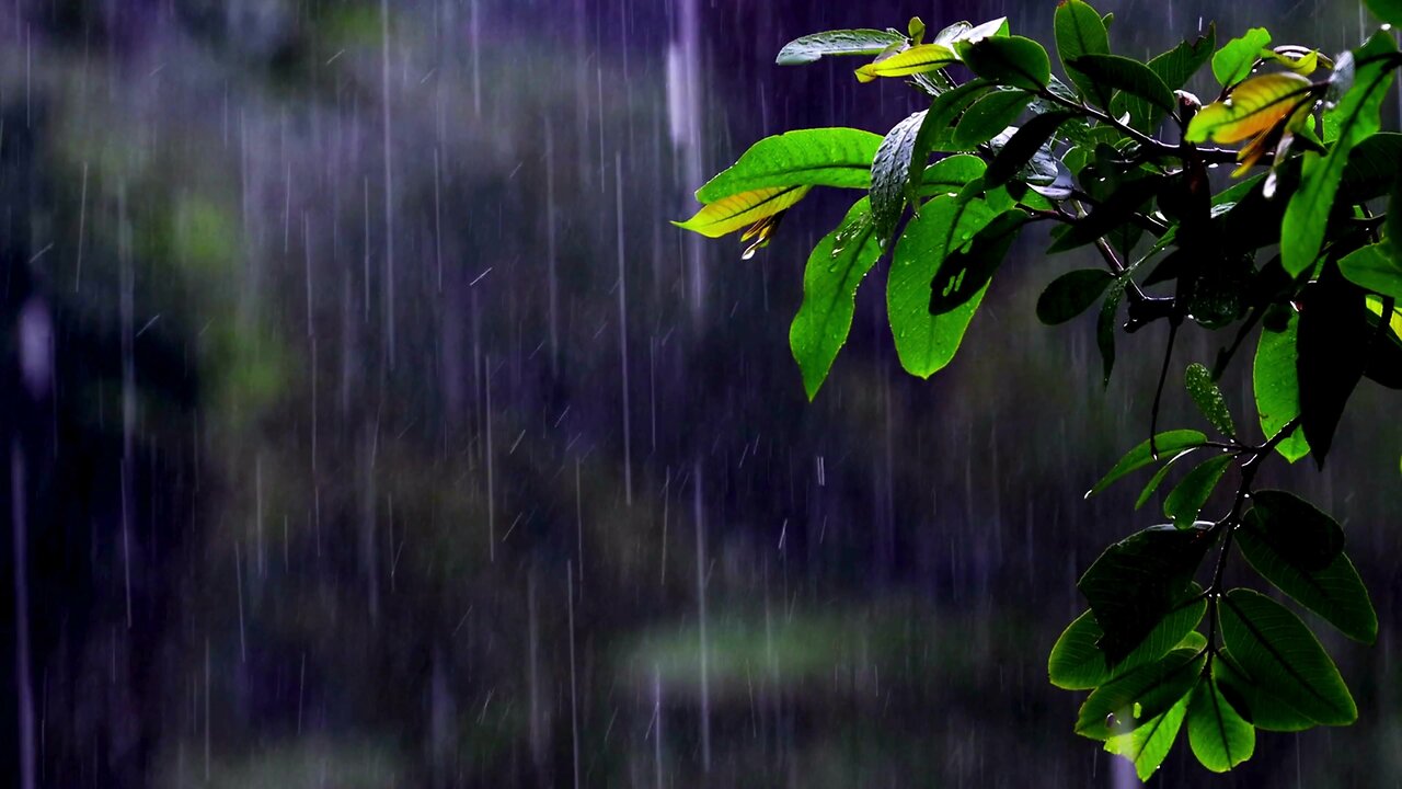 Gentle Night Rain, Rain Sounds for Sleeping, Relaxing and Meditations