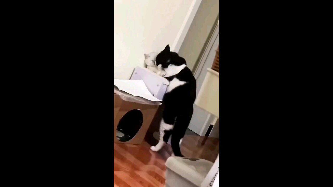 ओये उसका ब्वॉयफ्रेंड आ जायेगा