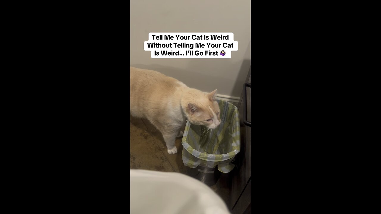 Anyone Else’s Cat Do This❓🤷🏻‍♀️🤔