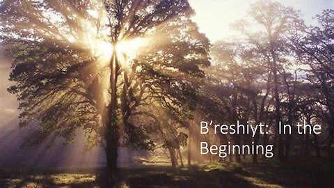 B'reshiyt - In the Beginning / October 18, 2025