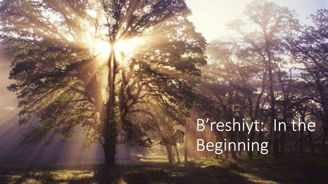 B'reshiyt - In the Beginning / October 18, 2025