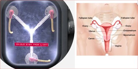 The Time & Life Portal