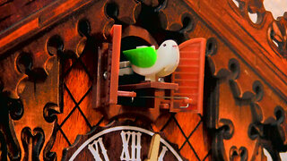 CUCKOO CLOCK TROUBLESHOOTING | Eureka!!! Fixed my Chinese cuckoo clock's stuck time. #cuckoorepair