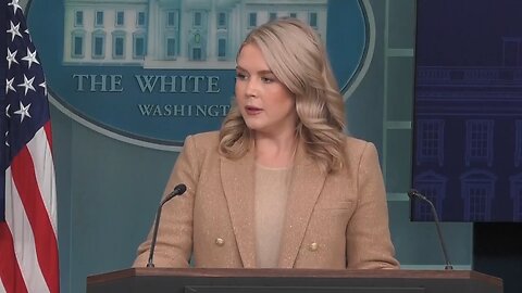 🇺🇸🇿🇦 White House Press Secretary Karoline Leavitt