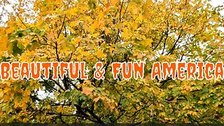 🎃Michael 🎃Jackson 🎃THRILLER 🎃