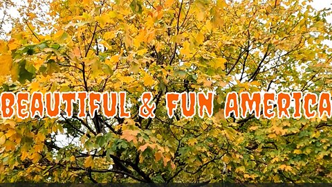 🎃Michael 🎃Jackson 🎃THRILLER 🎃