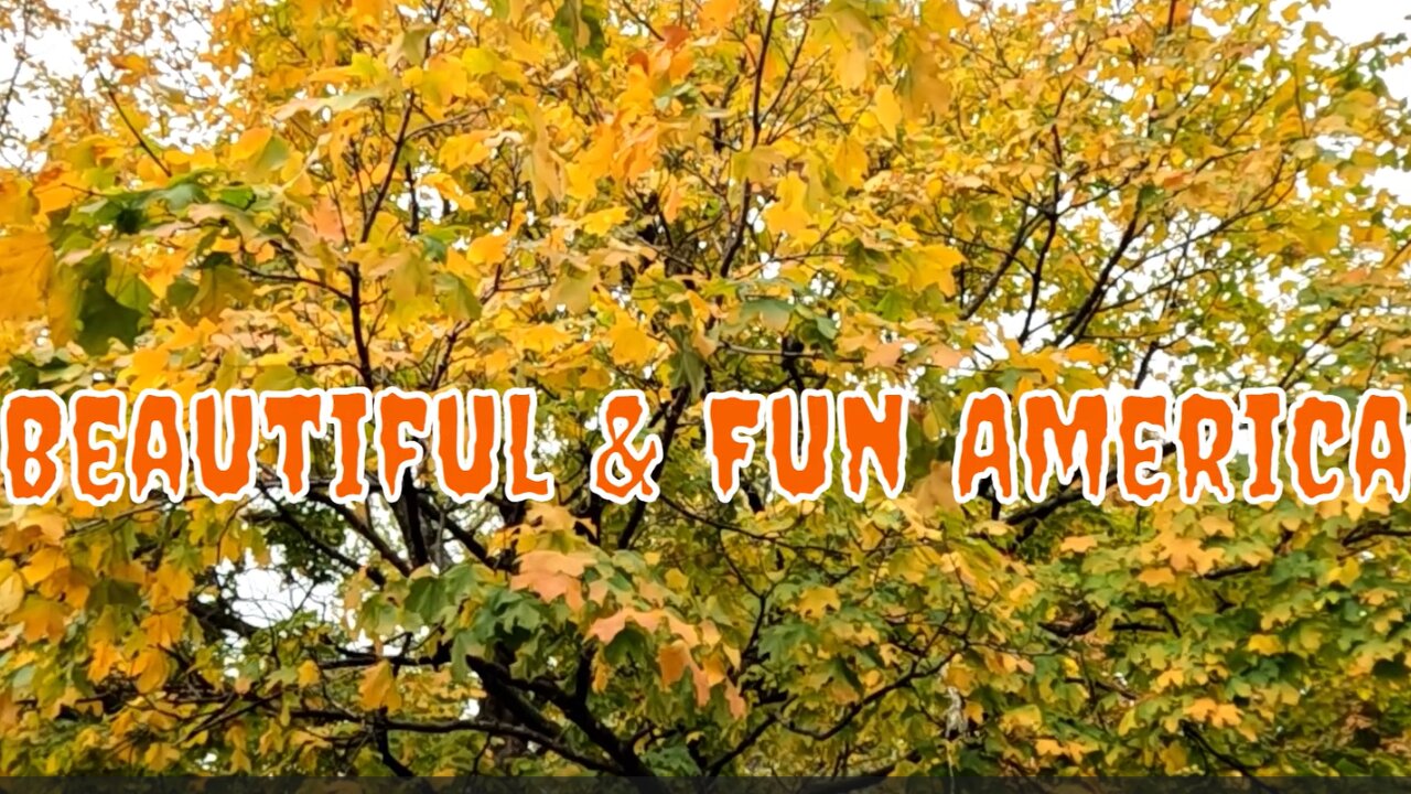 🎃Michael 🎃Jackson 🎃THRILLER 🎃