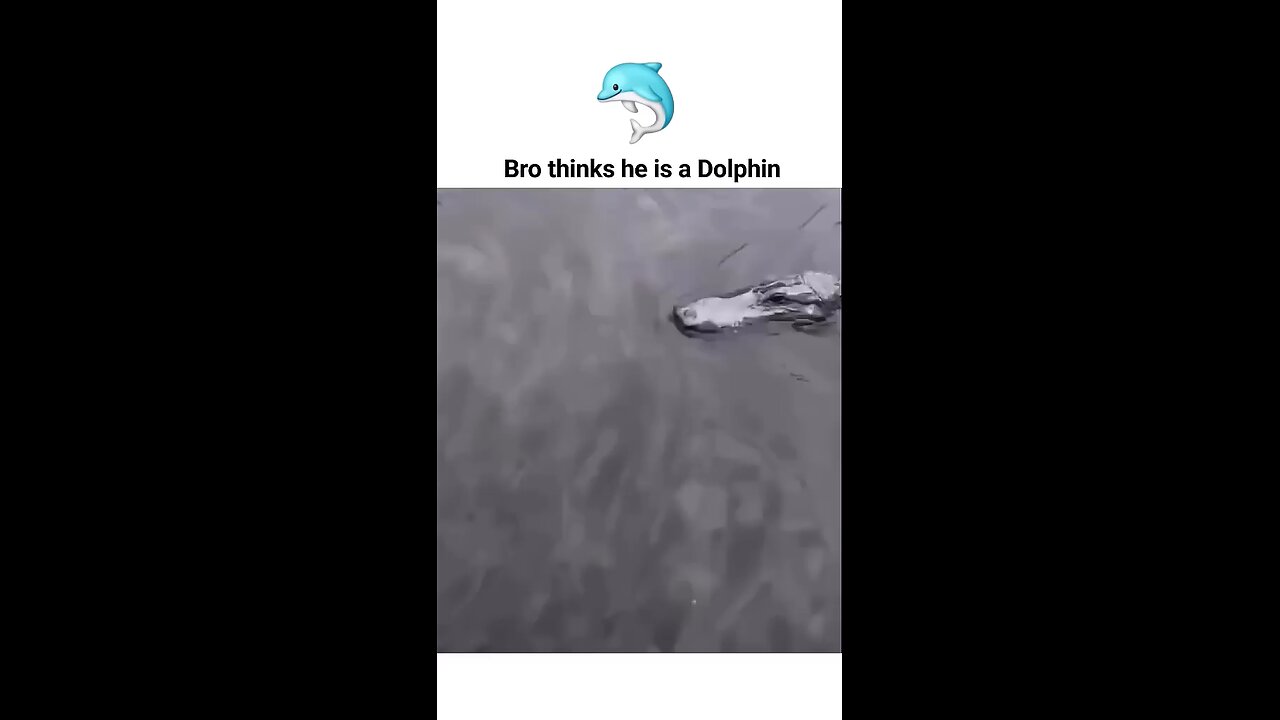 🤣