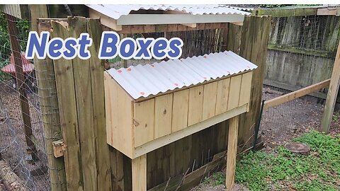 Chicken Coop Upgrade
