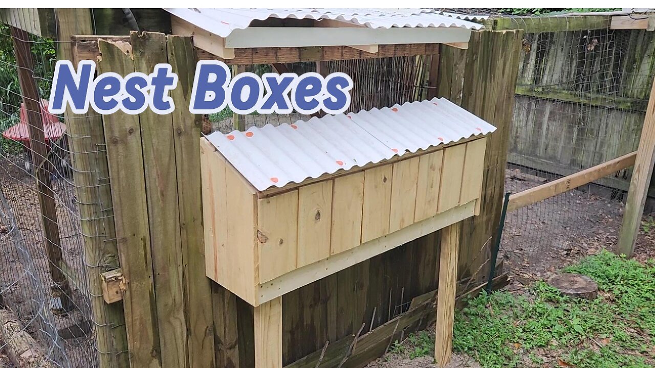 Chicken Coop Upgrade