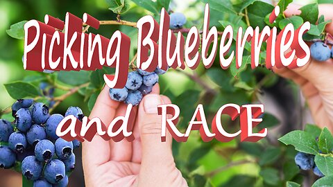 Picking Blueberries and RACE