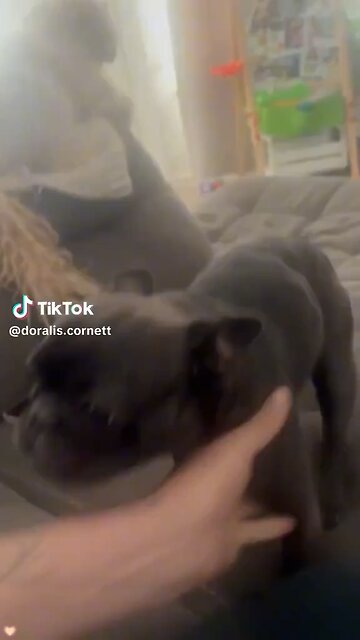 I love u! I do, I really really do! ❤️🤗😘