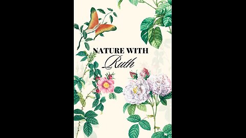 Monday June 2nd 2025 Nature With Ruth