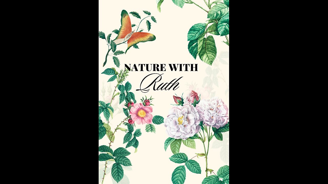 Monday June 2nd 2025 Nature With Ruth