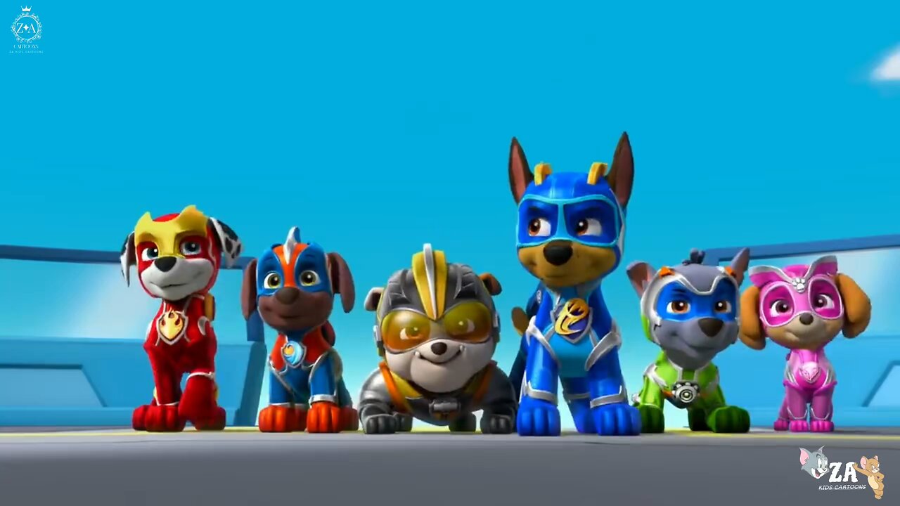 PAW Patrol Cartoons