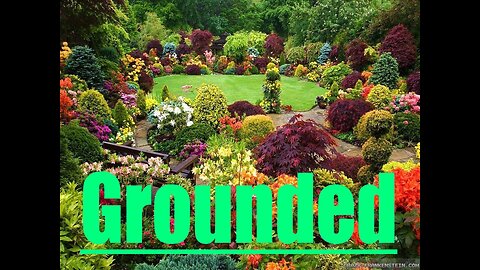 Grounded Part 13: No Commentary Gameplay only