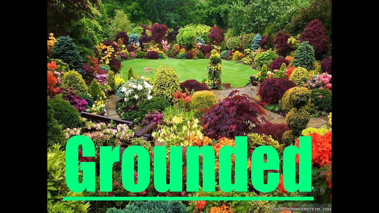Grounded Part 13: No Commentary Gameplay only
