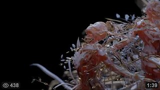 What Have They Injected Into Us..~ Nano Technology...
